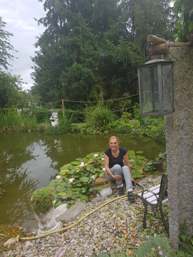 Busingen am Hochrhein Zimmer Paradiso المظهر الخارجي الصورة