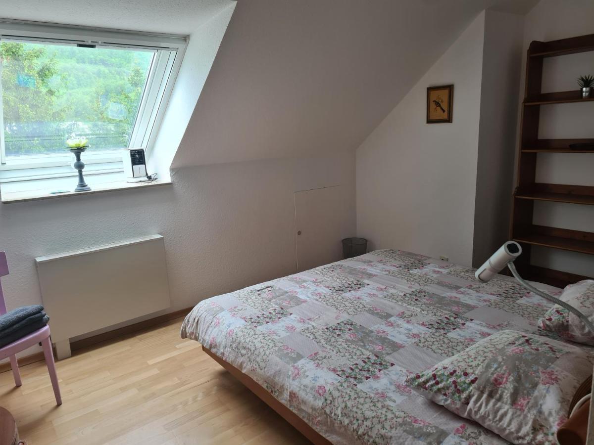 Busingen am Hochrhein Zimmer Paradiso المظهر الخارجي الصورة