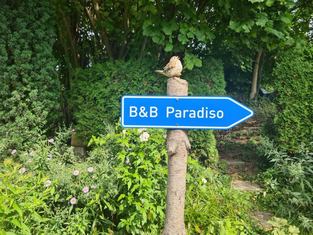Busingen am Hochrhein Zimmer Paradiso المظهر الخارجي الصورة